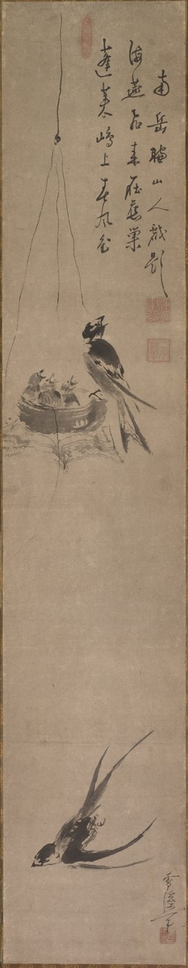 السنونو ، أواخر القرن السابع عشر وأوائل القرن الثامن عشر. بواسطة سيكي ياماغوتشي