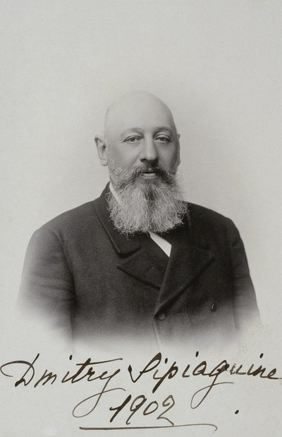 صورة ديمتري سيرجيفيتش سيباجين 1853-1902 ، 1902 بواسطة Sergei Lvovich Levitsky