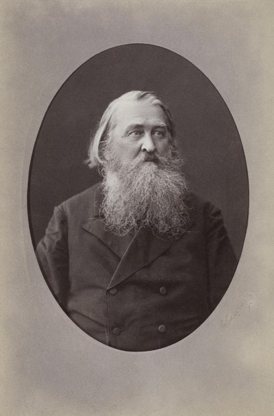 صورة للشاعر أليكسي نيكولايفيتش بليشييف 1825-1893 ، 1870 بواسطة Sergei Lvovich Levitsky