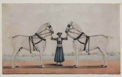 سايس (العريس) يحمل اثنين من الخيول ، حوالي عام 1845 (ألوان مائية غير شفافة على ورق) بواسطة الشيخ محمد أمير من كراية (Attr. to)