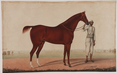 حصان وعريس ، c.1840 بواسطة الشيخ محمد أمير من كرايا