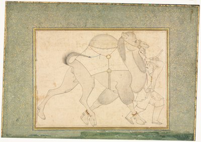 الجمل والعريس ، الرسم التوضيحي للصفحة الواحدة ، ج. 1545-1576. بواسطة شيخ محمد