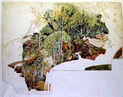 أوراق الشجر والصخور بواسطة شيلدون بوروز آدامز