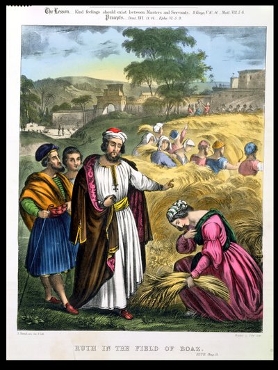 روث في حقل بوعز ، من إنجيل طبعه إدوارد جوفر ، 1870 بواسطة سيغفريد ديتلر بنديكسن