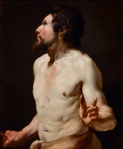 دراسة رسم الجذع من مدرسة سيمون فويت (1590-1649) (رسم) بواسطة سيمون (دائرة) فويت