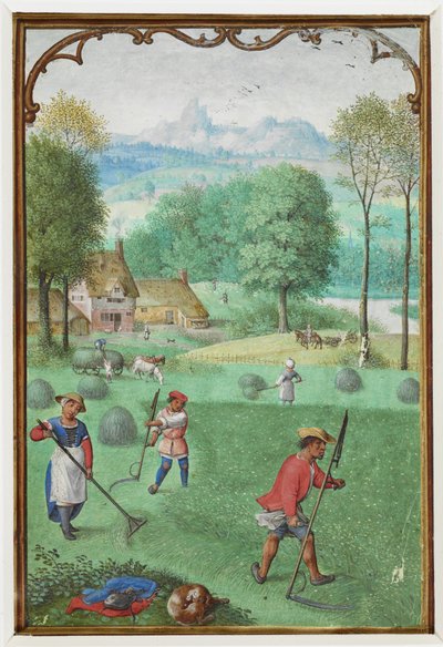 أضف MS 18855 f.109v يوليو: الحصاد ، البذر ، من كتاب الصلوات ، حوالي 1540 (ورق) بواسطة سيمون بينينج