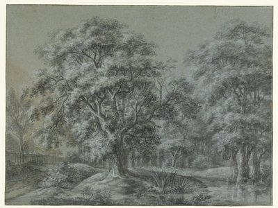 المناظر الطبيعية للغابات مع المياه بواسطة سيمون دي فليجر