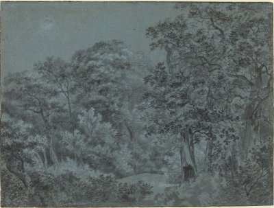 في لاهاي وودز بواسطة سيمون دي فليجر