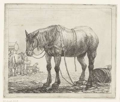 يستريح العمود الفقري حيوانات مختلفة (عنوان المسلسل) Beesjes van de Vlieger (عنوان المسلسل) بواسطة Simon de Vlieger
