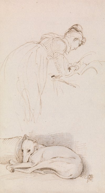 دراسات للمرأة والسلوقي بواسطة السير جورج هايتر