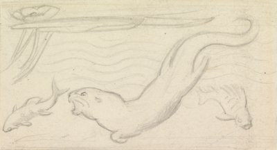 دراسة الزجاج المعشق ، ثعالب الماء وسمكتان بواسطة Sir John Everett Millais