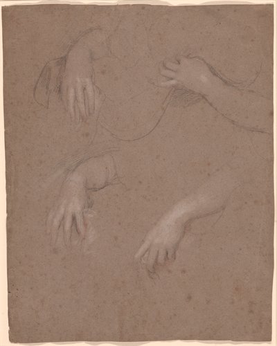 رسومات الأيدي بواسطة السير بيتر ليلي