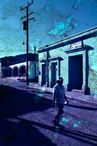  بواسطة سيسي بريمبرج