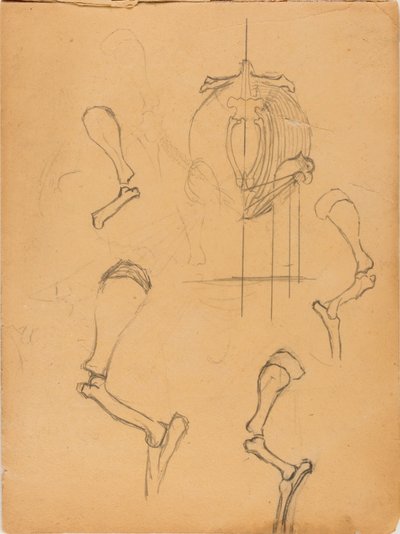 كتاب رسم تخطيطي بواسطة سولون إتش بورجلوم