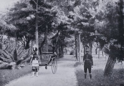 ألبرت بارك ، ديربان (صورة b / w) بواسطة مصور جنوب أفريقي