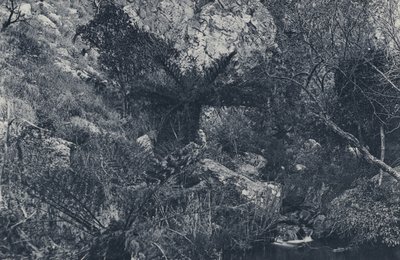 في Witpoortje Kloof (صورة b / w) بواسطة مصور جنوب أفريقي
