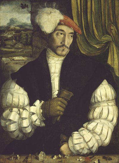 صورة لرجل ، 1533 بواسطة South German School