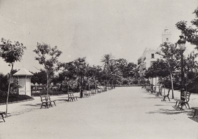 Cadiz: Alameda de Apodaca (b/w photo) بواسطة المصور الإسباني