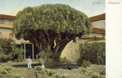  بواسطة المصور الإسباني