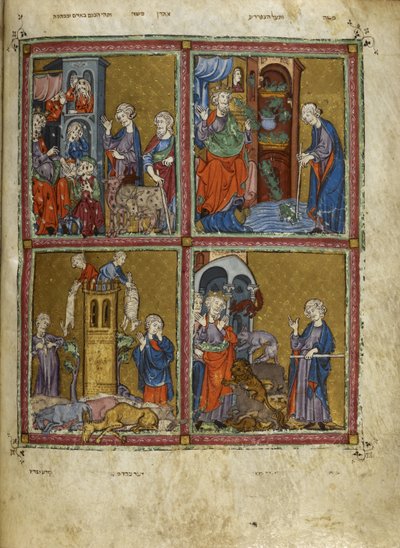 يضيف. 27210، f.12v مشاهد من الخروج: آفات القمل والضفادع والذبحة والأوبئة ، رسوم توضيحية من "The Golden Haggadah" (حبر ، لون وذهب على ورق) بواسطة المدرسة الاسبانية