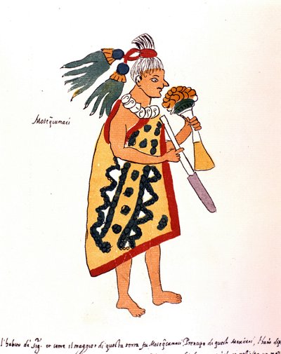 كاهن الأزتك في Codex Vaticanus 3738 (Codex Vat. Rios). نسخة طبق الأصل من مخطوطة الدومينيكان بيدرو دي لوس ريوس ، بين 1570 و 1589 ، بببل. الفاتيكان. بواسطة المدرسة الاسبانية