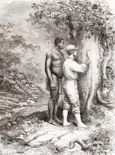 جول كريفاو ، أثناء استكشافه لغويانا الفرنسية في عام 1878 ، نحت الأحرف الأولى من اسمه على شجرة على ضفاف نهر أويابوك أو نهر أويابوك بواسطة المدرسة الاسبانية