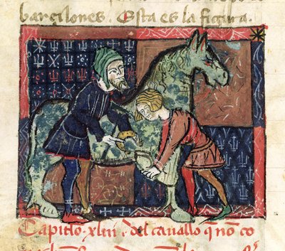السيدة 214 fol.46v بارتداء حصان ، من Libro de Menescalcia y Albeyteria بواسطة Juan Alvarez ، c.1390 بواسطة المدرسة الاسبانية