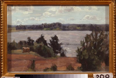 على شاطئ البحيرة. عمل ستانيسلاف يوليانوفيتش جوكوفسكي (جوكوفسكي) (1873-1944) ، زيت على ورق مقوى بواسطة ستانيسلاف جوليانوفيتش جوكوفسكي
