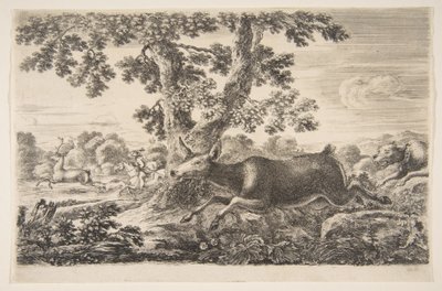 صيد الغزلان ، من اصطياد الحيوانات صيد الحيوانات المختلفة ، كاليفورنيا. 1654. بواسطة ستيفانو ديلا بيلا