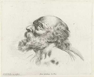 رأس رجل عجوز أصلع ذو لحية ، في صورة جانبية إلى اليسار (ربما القديس بطرس) مبادئ الرسم (عنوان السلسلة) I Principii del disegno (عنوان المسلسل) بواسطة ستيفانو ديلا بيلا