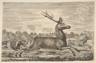 كلاب الصيد مطاردة الأيل ودولة ، كاليفورنيا. 1654. بواسطة ستيفانو ديلا بيلا