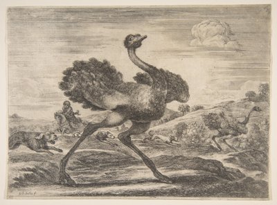 صيد النعام ، من صيد الحيوانات ، صيد الحيوانات المختلفة ، كاليفورنيا. 1654. بواسطة ستيفانو ديلا بيلا