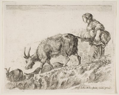 اللوحة 14: رعي الماعز ، من مختلف الحيوانات Diversi animali ، ca. 1641. بواسطة ستيفانو ديلا بيلا
