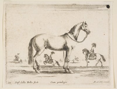 اللوحة 21: حصان ، من حيوانات مختلفة Diversi animali ، 1641. بواسطة ستيفانو ديلا بيلا
