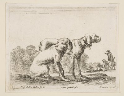 اللوحة 23: كلبان من حيوانات مختلفة Diversi animali، ca. 1641. بواسطة ستيفانو ديلا بيلا