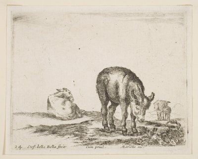 اللوحة 24: الحمير من الحيوانات المختلفة Diversi animali، ca. 1641. بواسطة ستيفانو ديلا بيلا