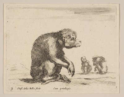 اللوحة 3: قرد جالس من حيوانات مختلفة Diversi animali، ca. 1641. بواسطة ستيفانو ديلا بيلا