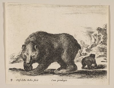 اللوحة 4: دب ، من "حيوانات مختلفة" Diversi animali ، كاليفورنيا. 1641. بواسطة ستيفانو ديلا بيلا