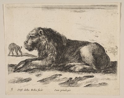 اللوحة 5: أسد مستلق من حيوانات مختلفة Diversi animali، ca. 1641. بواسطة ستيفانو ديلا بيلا