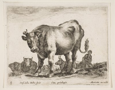 اللوحة 8: بقرة ، من حيوانات مختلفة Diversi animali ، ca. 1641. بواسطة ستيفانو ديلا بيلا