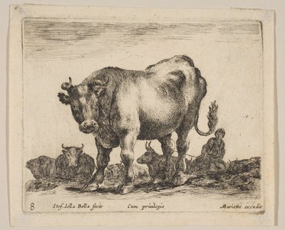 اللوحة 8: ثور ، من "حيوانات مختلفة" Diversi animali ، كاليفورنيا. 1641. بواسطة ستيفانو ديلا بيلا