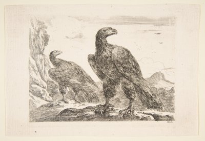 نسرين ، من "Eagles" Les aigles ، كاليفورنيا. 1651. بواسطة ستيفانو ديلا بيلا