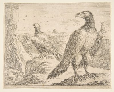 نسران ، من النسور Les aigles ، كاليفورنيا. 1651. بواسطة ستيفانو ديلا بيلا