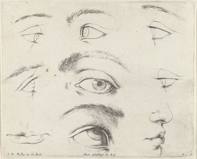 سبع عيون وفمان وأنف مبادئ الرسم (عنوان السلسلة) I Principii del disegno (عنوان المسلسل) بواسطة ستيفانو ديلا بيلا