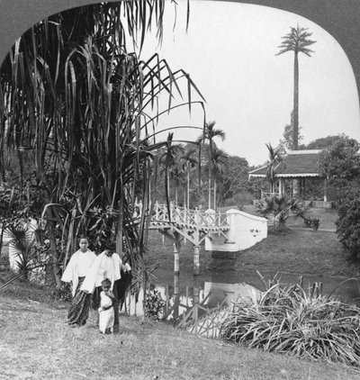نظرة خاطفة على الحدائق الاستوائية في رانغون ، بورما ، 1908 بواسطة شركة السفر ستيريو