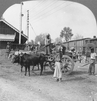 محطة السكة الحديد النموذجية ، كاثا ، بورما ، 1908 بواسطة شركة السفر ستيريو