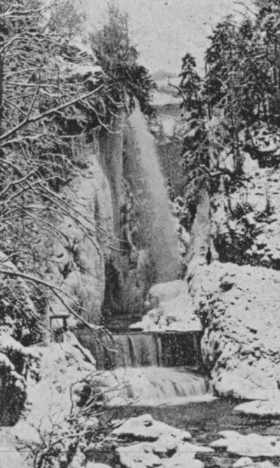 Les Corges du Taubenloch, pres Bienne en hiver (b/w photo) بواسطة المصور السويسري