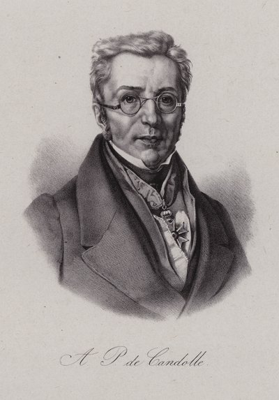 Augustin Pyramus de Candolle, Swiss botanist (engraving) بواسطة المدرسة السويسرية
