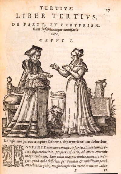 ممرضة تميل إلى مريض يعاني من جرح ، من De Concepta et Generatione Hominis بقلم جاكوب روف ، 1587 (طباعة وخشب على ورق) بواسطة المدرسة السويسرية
