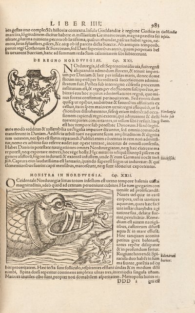 الصفحة 983 من Cosmographiae Universalis بقلم سيباستيان مونستر ، بازل ، 1572 بواسطة المدرسة السويسرية